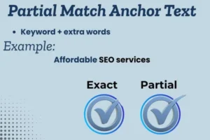 what is anchor text