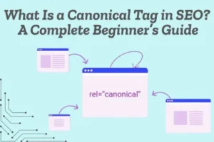 canonical tag SEO