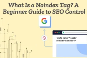 noindex tag meaning