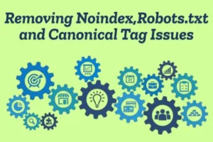 pages not indexed fix