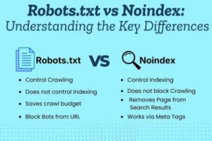 robots.txt for SEO