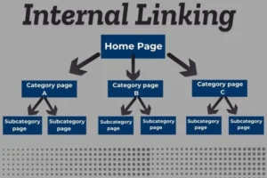 how to do SEO for a website